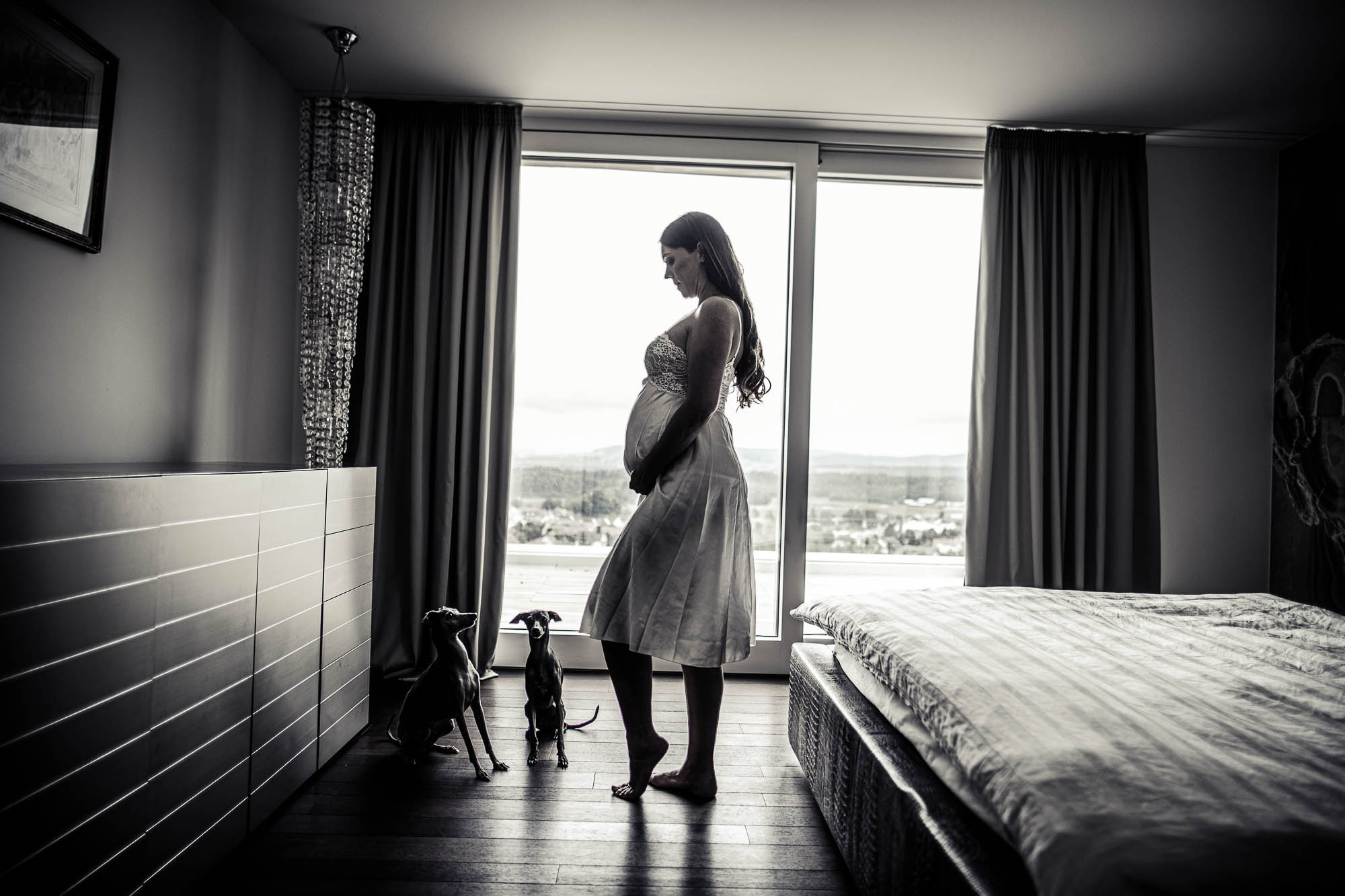 Export x3 1DX26125 Fotoshooting 2020 Zito 2